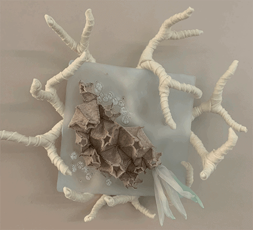 barnacle made of fiber