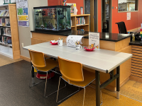 Table with two chairs next to a fish tank in the library