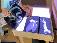 child playing at light table with mock animal x-rays